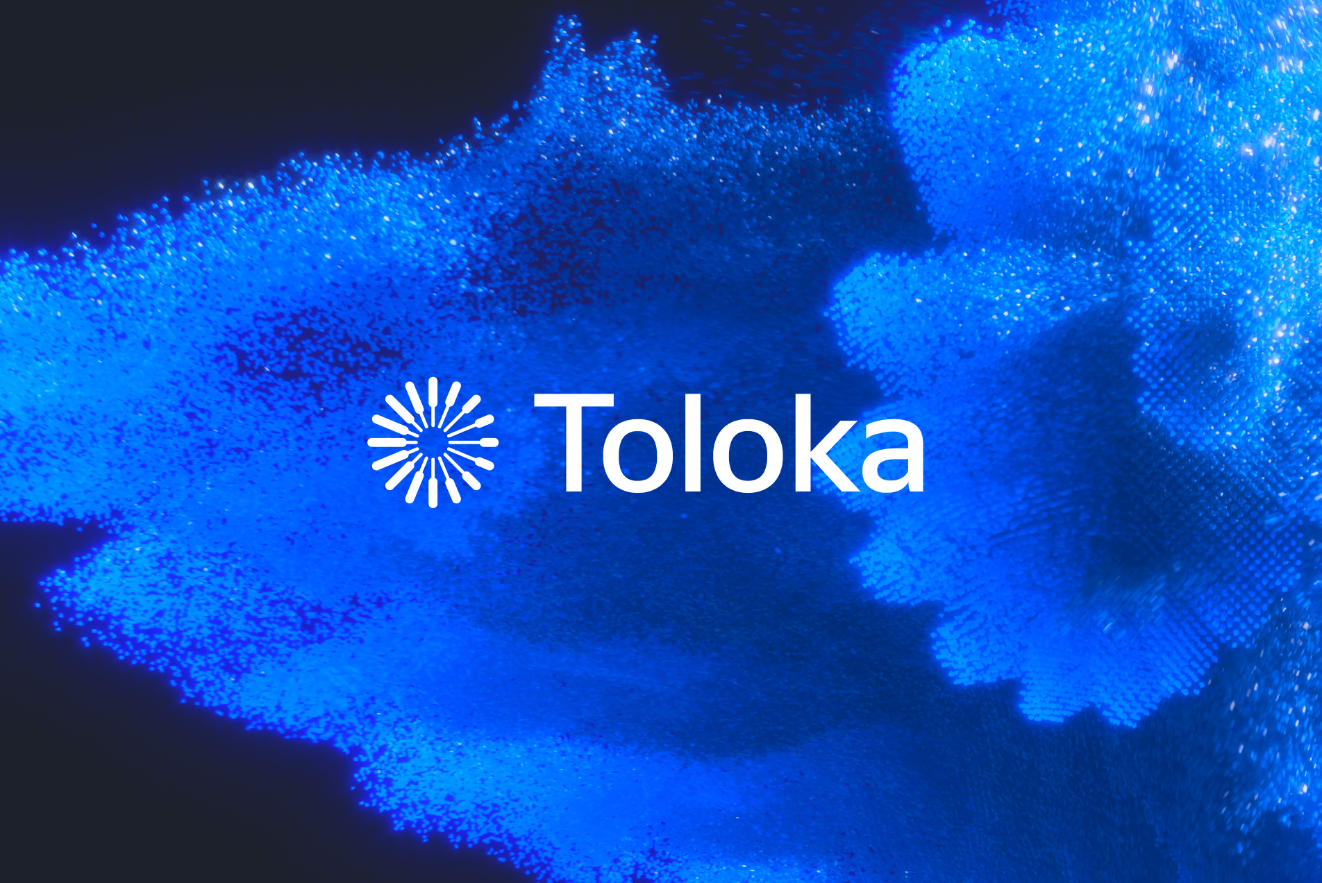 Toloka’s digital universe: Brand Identity & Website
